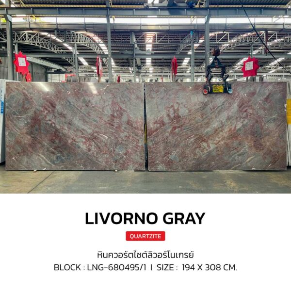 หินอ่อน LIVORNO GRAY - Image 2