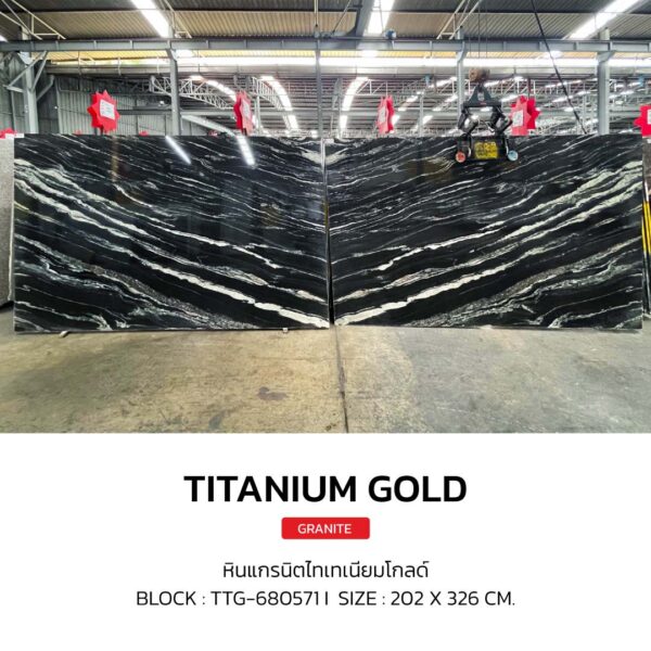 หินแกรนิต TITANIUM GOLD - Image 2